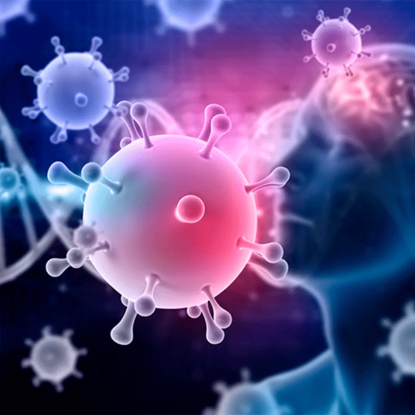 Gérmenes y su efecto en humanos